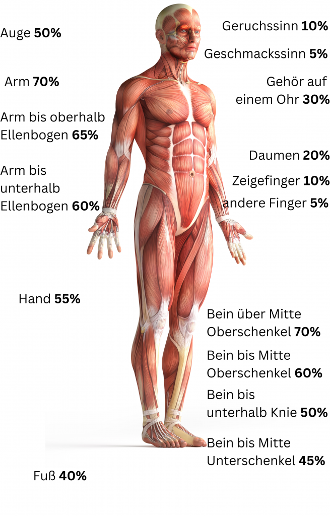 Gliedertaxe in der privaten Unfallversicherung